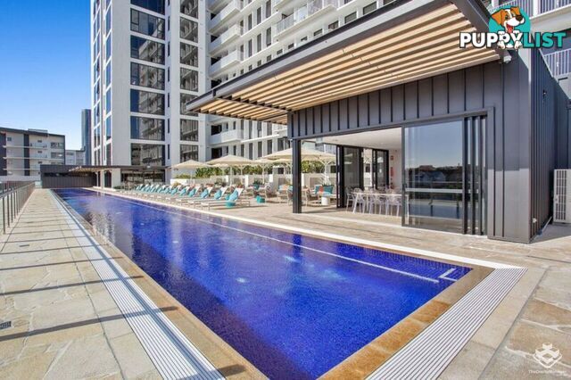 477 Boundary Street Spring Hill QLD 4000