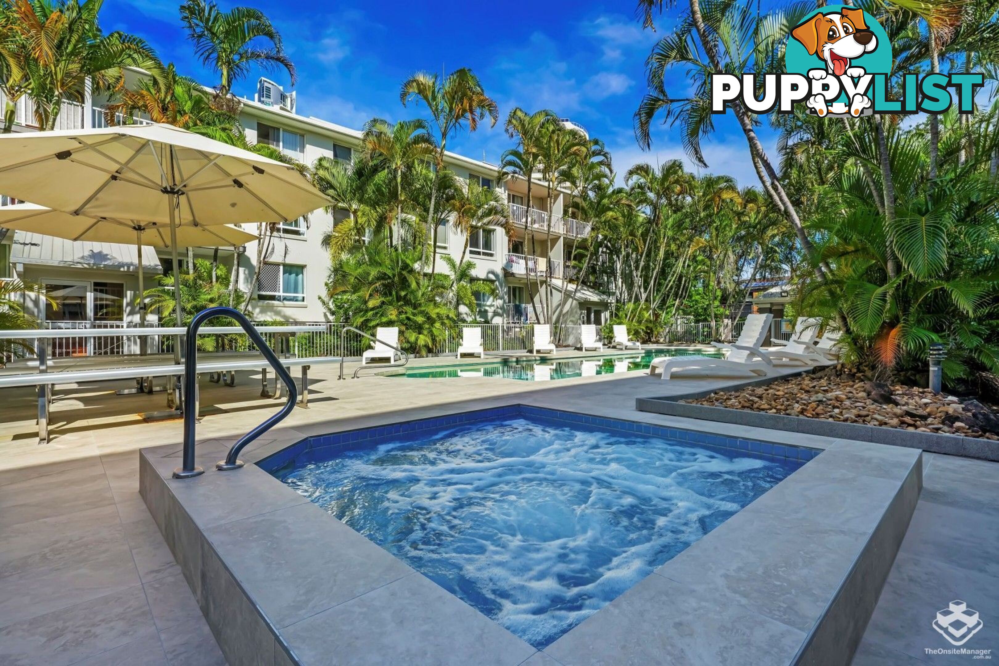 ID:21157525 35 Palm Avenue Surfers Paradise QLD 4217