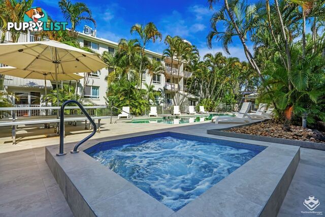 ID:21157525 35 Palm Avenue Surfers Paradise QLD 4217