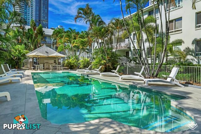 ID:21157525 35 Palm Avenue Surfers Paradise QLD 4217