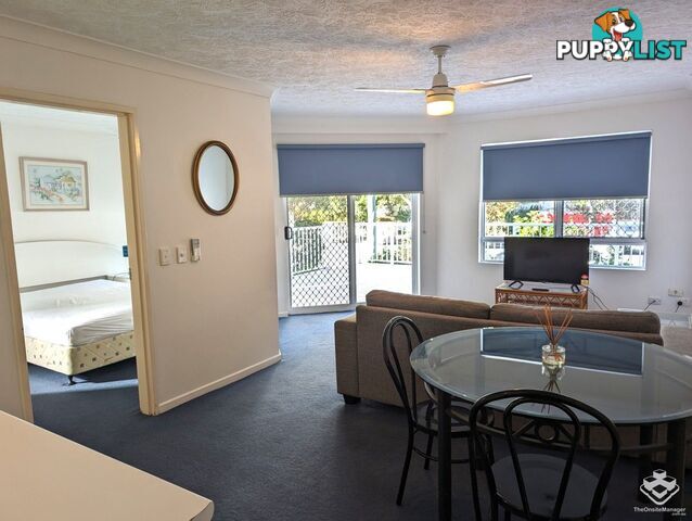 ID:21157525 35 Palm Avenue Surfers Paradise QLD 4217