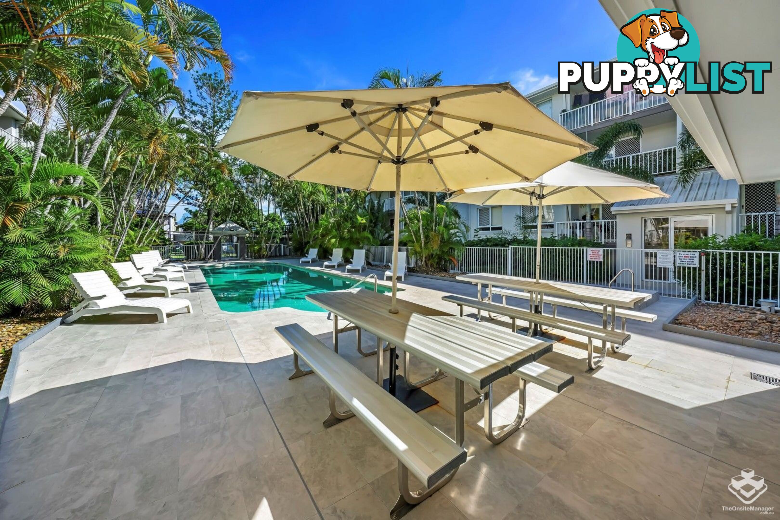ID:21157525 35 Palm Avenue Surfers Paradise QLD 4217