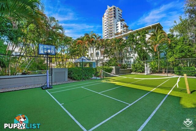 ID:21157525 35 Palm Avenue Surfers Paradise QLD 4217