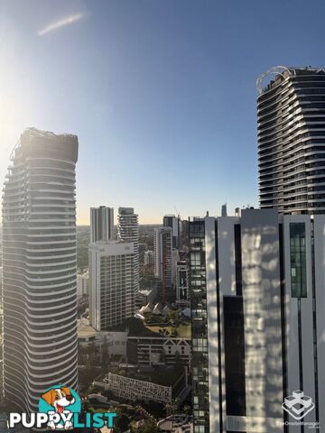 ID:21155502 12 Philip Avenue Broadbeach QLD 4218