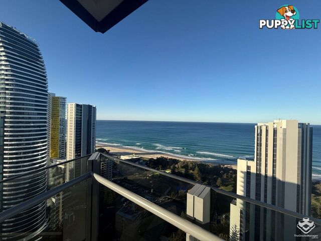 ID:21155502 12 Philip Avenue Broadbeach QLD 4218