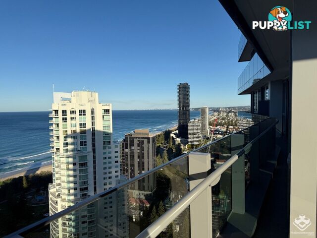 ID:21155502 12 Philip Avenue Broadbeach QLD 4218