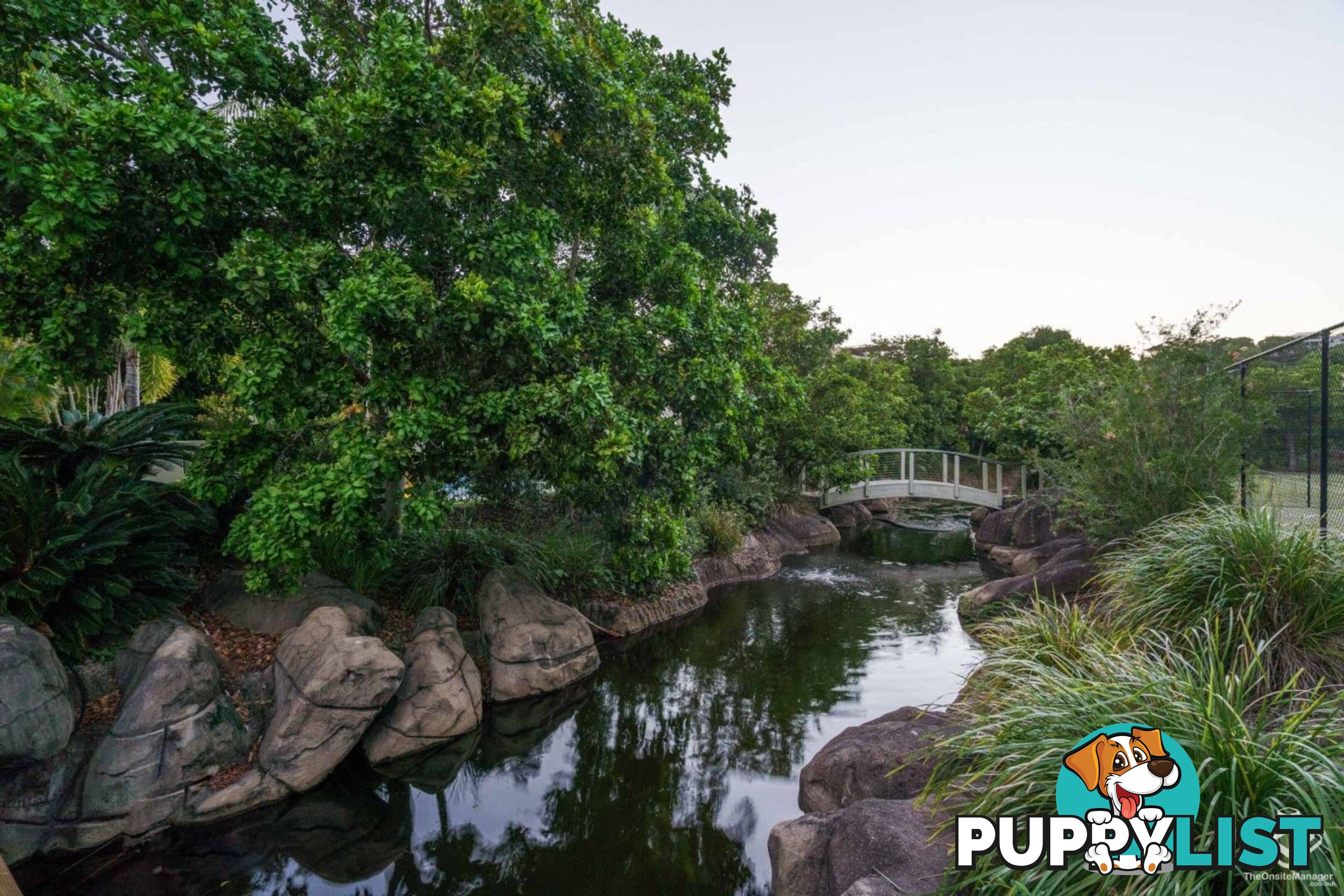 87 Toolga Street Mount Coolum QLD 4573