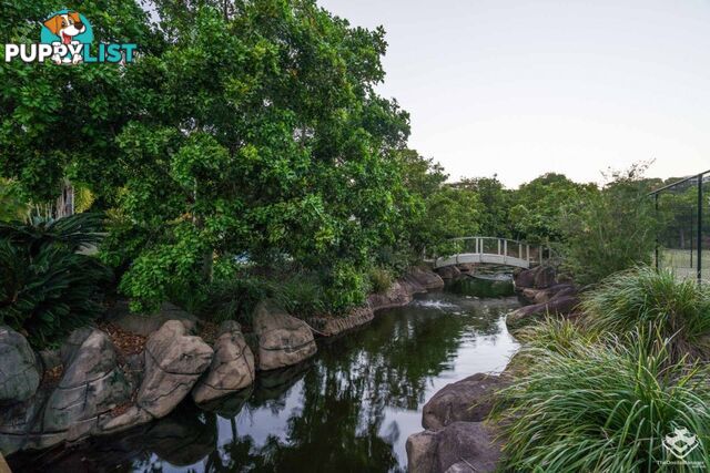 87 Toolga Street Mount Coolum QLD 4573