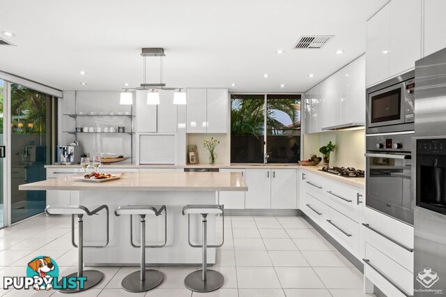 87 Toolga Street Mount Coolum QLD 4573