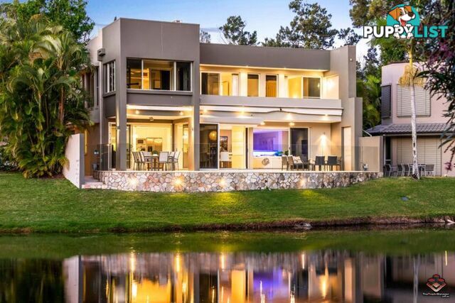 87 Toolga Street Mount Coolum QLD 4573