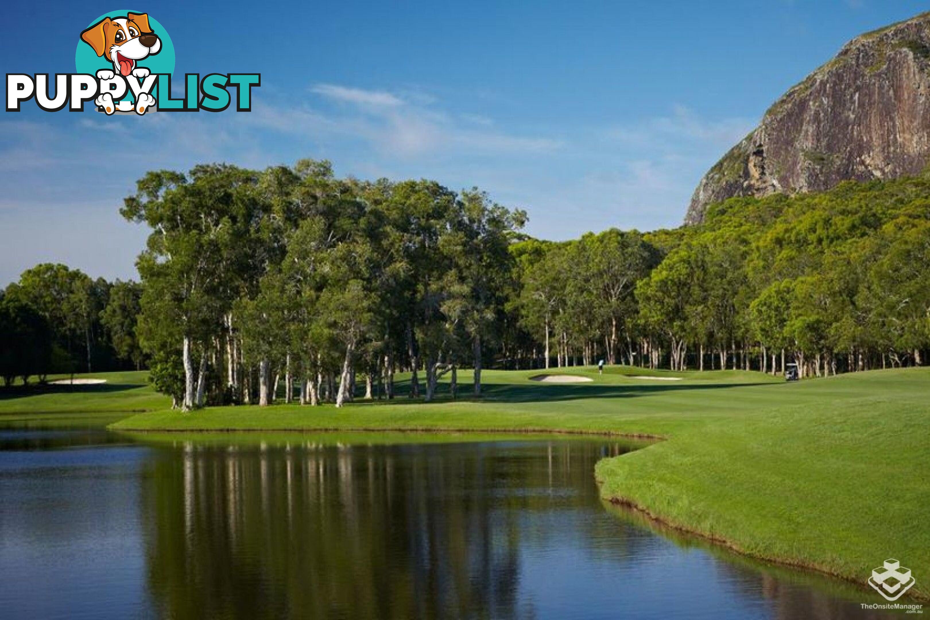87 Toolga Street Mount Coolum QLD 4573