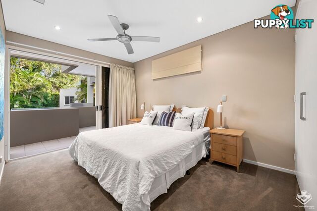 87 Toolga Street Mount Coolum QLD 4573
