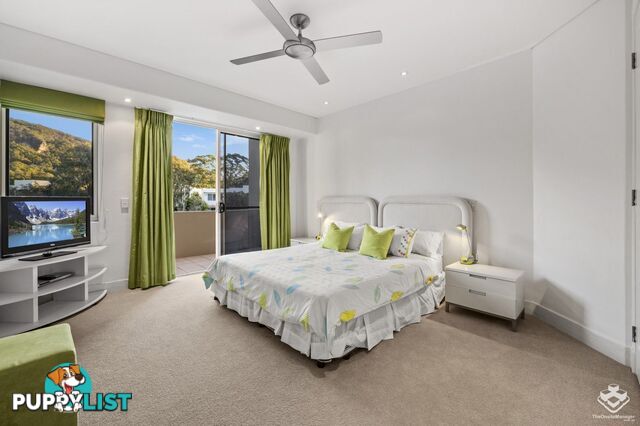 87 Toolga Street Mount Coolum QLD 4573