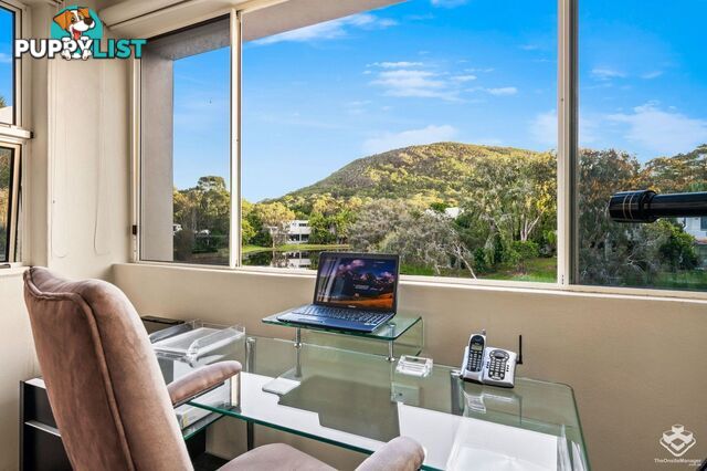 87 Toolga Street Mount Coolum QLD 4573