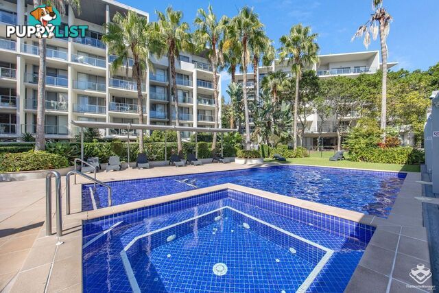 ID:21154136 154 Musgrave Avenue Southport QLD 4215