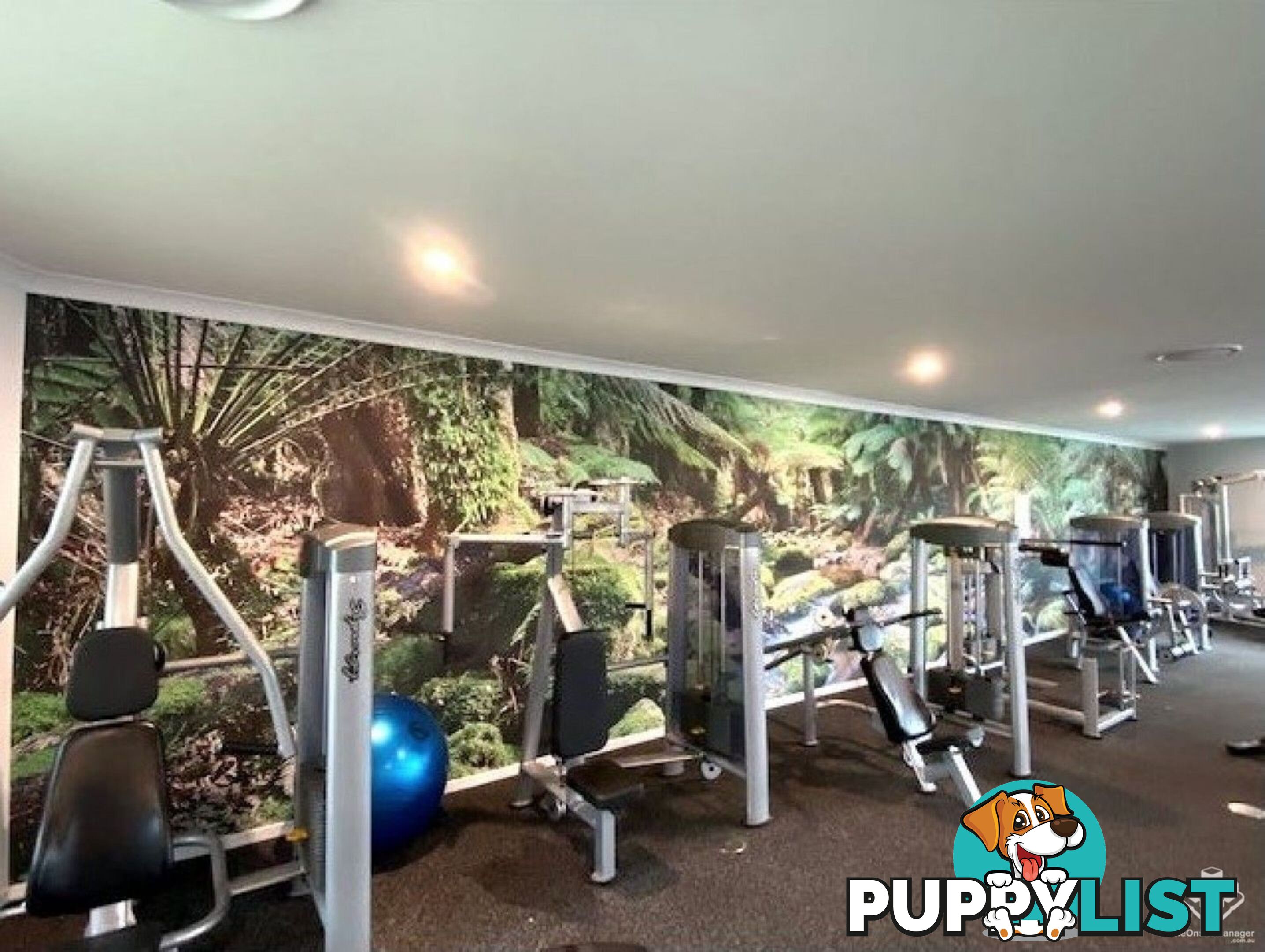 ID:21154136 154 Musgrave Avenue Southport QLD 4215