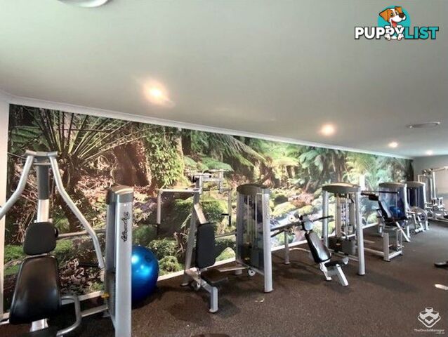 ID:21154136 154 Musgrave Avenue Southport QLD 4215
