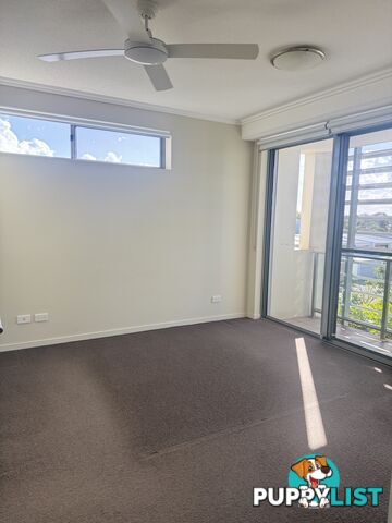 ID:21154136 154 Musgrave Avenue Southport QLD 4215
