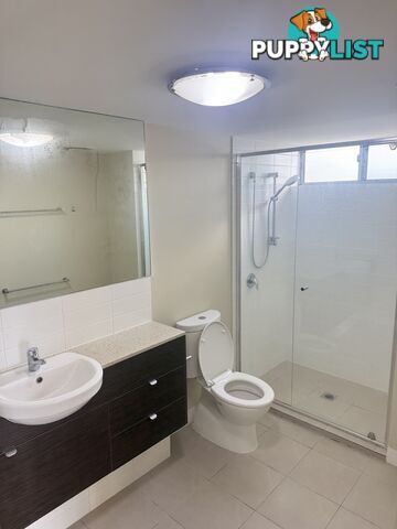 ID:21154136 154 Musgrave Avenue Southport QLD 4215