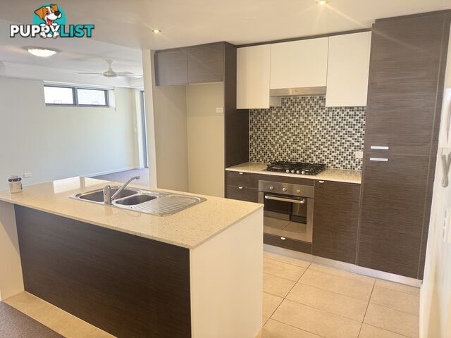 ID:21154136 154 Musgrave Avenue Southport QLD 4215