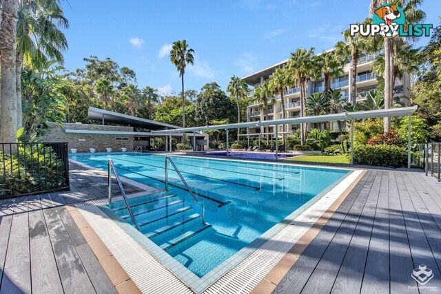 ID:21154136 154 Musgrave Avenue Southport QLD 4215