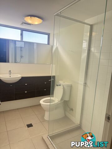 ID:21154136 154 Musgrave Avenue Southport QLD 4215