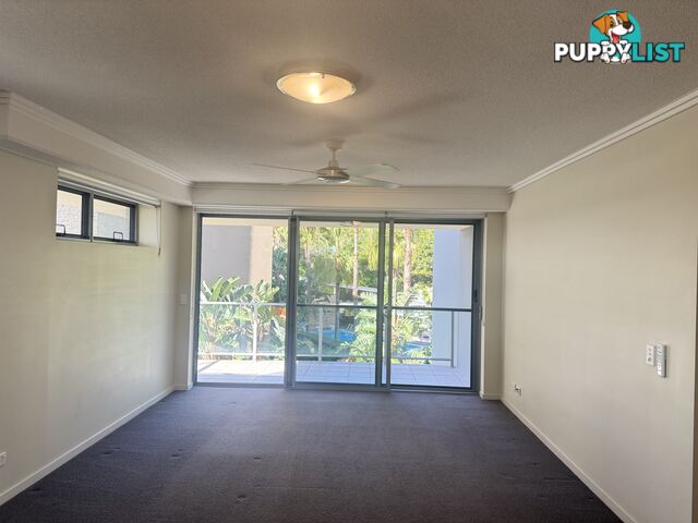 ID:21154136 154 Musgrave Avenue Southport QLD 4215