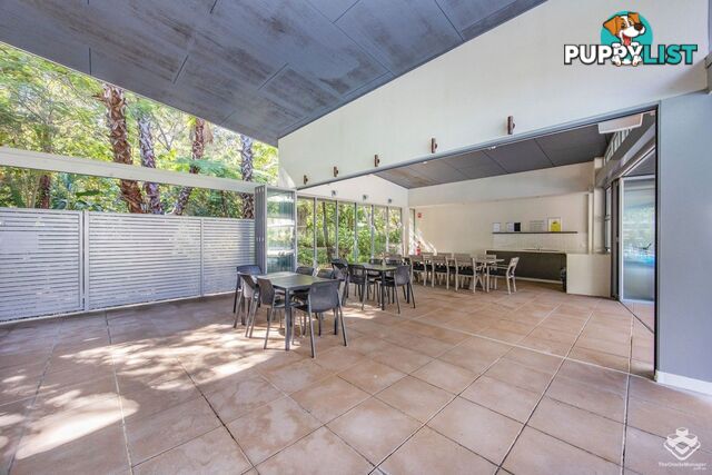 ID:21154136 154 Musgrave Avenue Southport QLD 4215