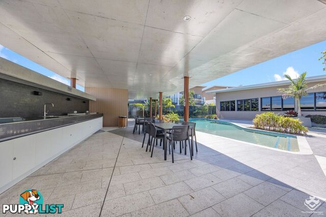 ID:21154136 154 Musgrave Avenue Southport QLD 4215