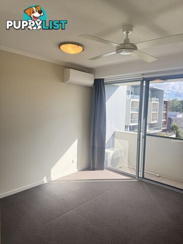 ID:21154136 154 Musgrave Avenue Southport QLD 4215