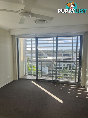 ID:21154136 154 Musgrave Avenue Southport QLD 4215