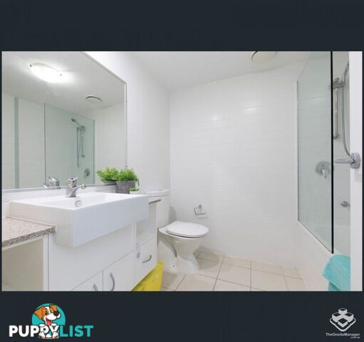 ID:21107907/95 Clarence Road Indooroopilly QLD 4068