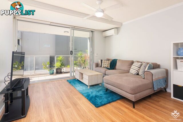 ID:21107907 95 Clarence Road Indooroopilly QLD 4068