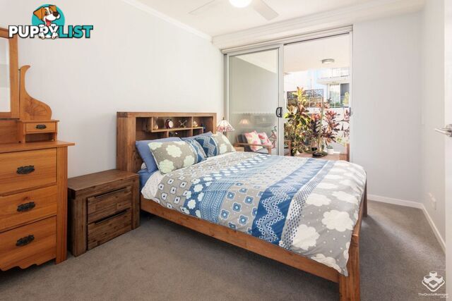 ID:21107907 95 Clarence Road Indooroopilly QLD 4068