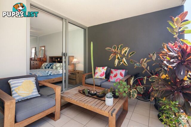 ID:21107907 95 Clarence Road Indooroopilly QLD 4068