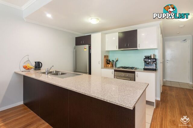ID:21107907 95 Clarence Road Indooroopilly QLD 4068