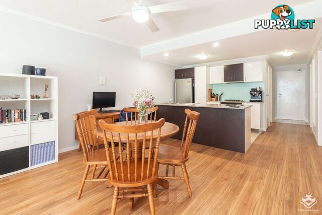 ID:21107907 95 Clarence Road Indooroopilly QLD 4068
