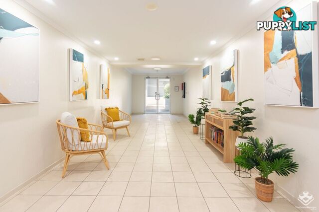 ID:21107907 95 Clarence Road Indooroopilly QLD 4068