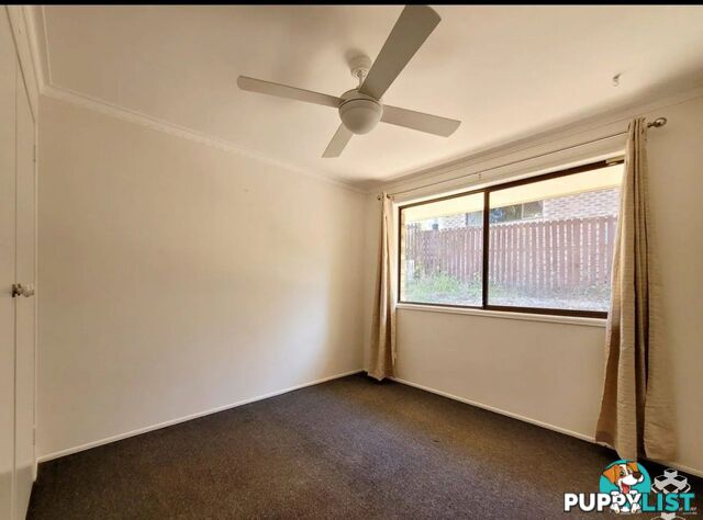 152 Heeb Street Benowa QLD 4217