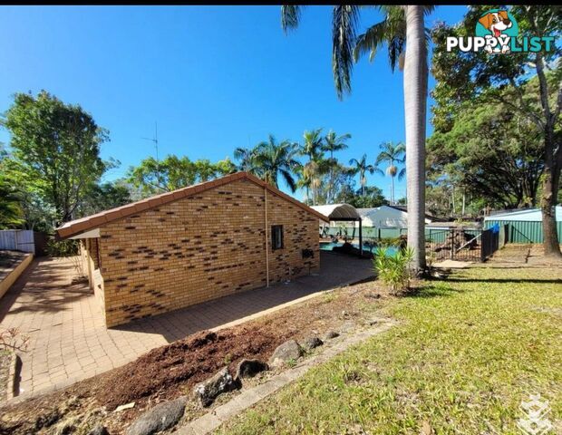 152 Heeb Street Benowa QLD 4217