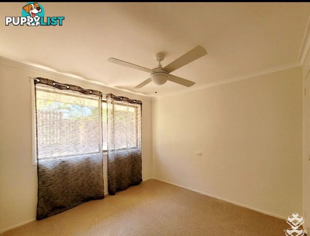152 Heeb Street Benowa QLD 4217