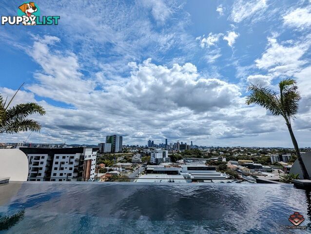 ID:21120953/7 Jeavons Lane Stones Corner QLD 4120