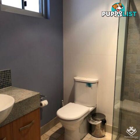 ID:21152547 13 Nicklin Way Minyama QLD 4575