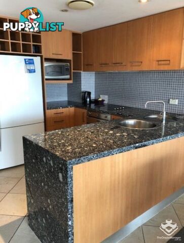 ID:21152547 13 Nicklin Way Minyama QLD 4575