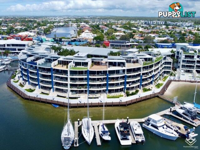 ID:21152547 13 Nicklin Way Minyama QLD 4575