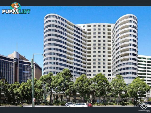 ID:21147941 14 Brown Street Chatswood NSW 2067