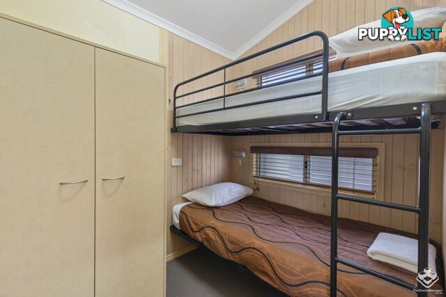 ID:21144954 71 Hinde Street Ashmore QLD 4214