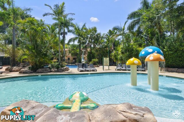ID:21144954 71 Hinde Street Ashmore QLD 4214