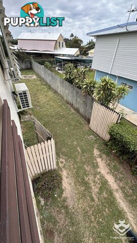 3 Catalonia Street Kirwan QLD 4817