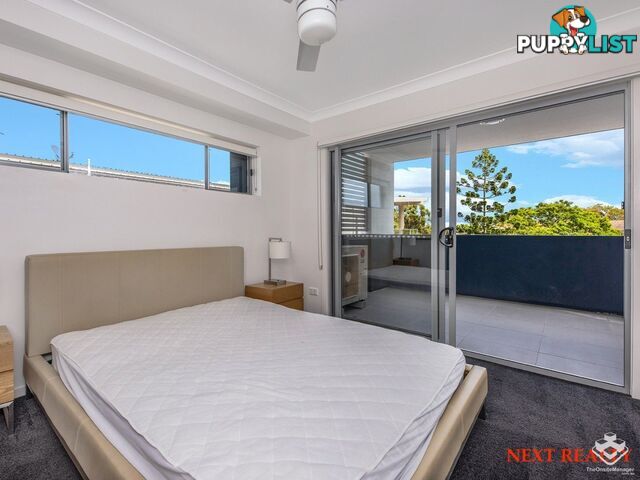 ID:21158642 19 Tank Street Kelvin Grove qld 4059